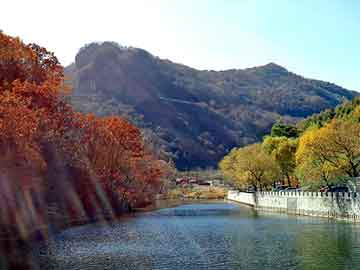 新澳天天开奖资料大全旅游团，夫君是太监总管